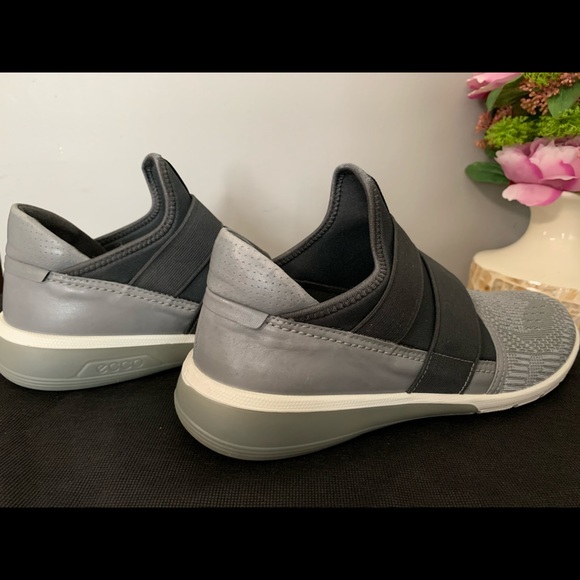 Ecco - Picture 3 of 4